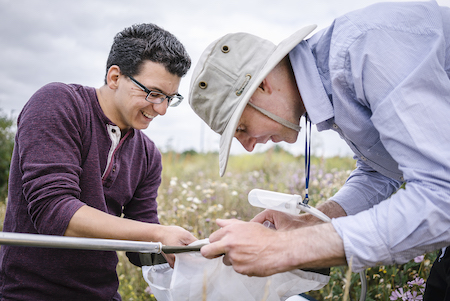 Researchers collaborating in the field